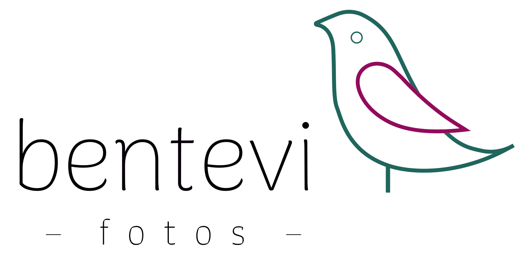 bentevi fotos- logo alta- asa vazada